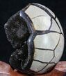 Septarian Dragon Egg Geode - Black Calcite Crystals #34702-4